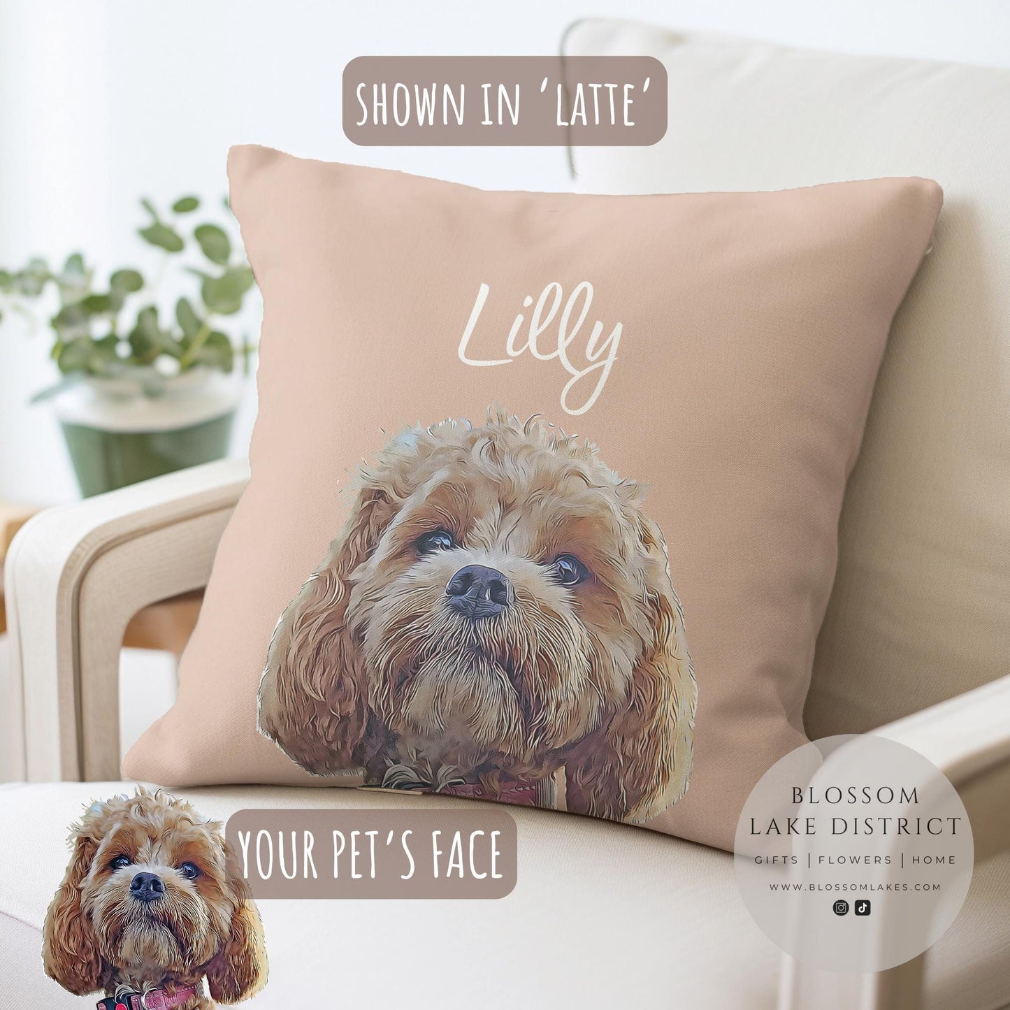Custom Pet Pillow Using Pet Photo & Name
