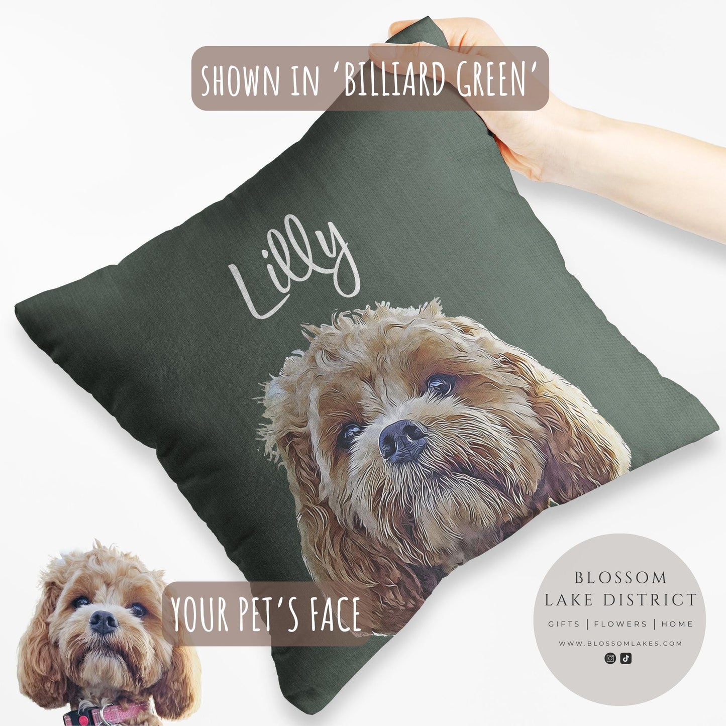 Custom Pet Pillow Using Pet Photo & Name