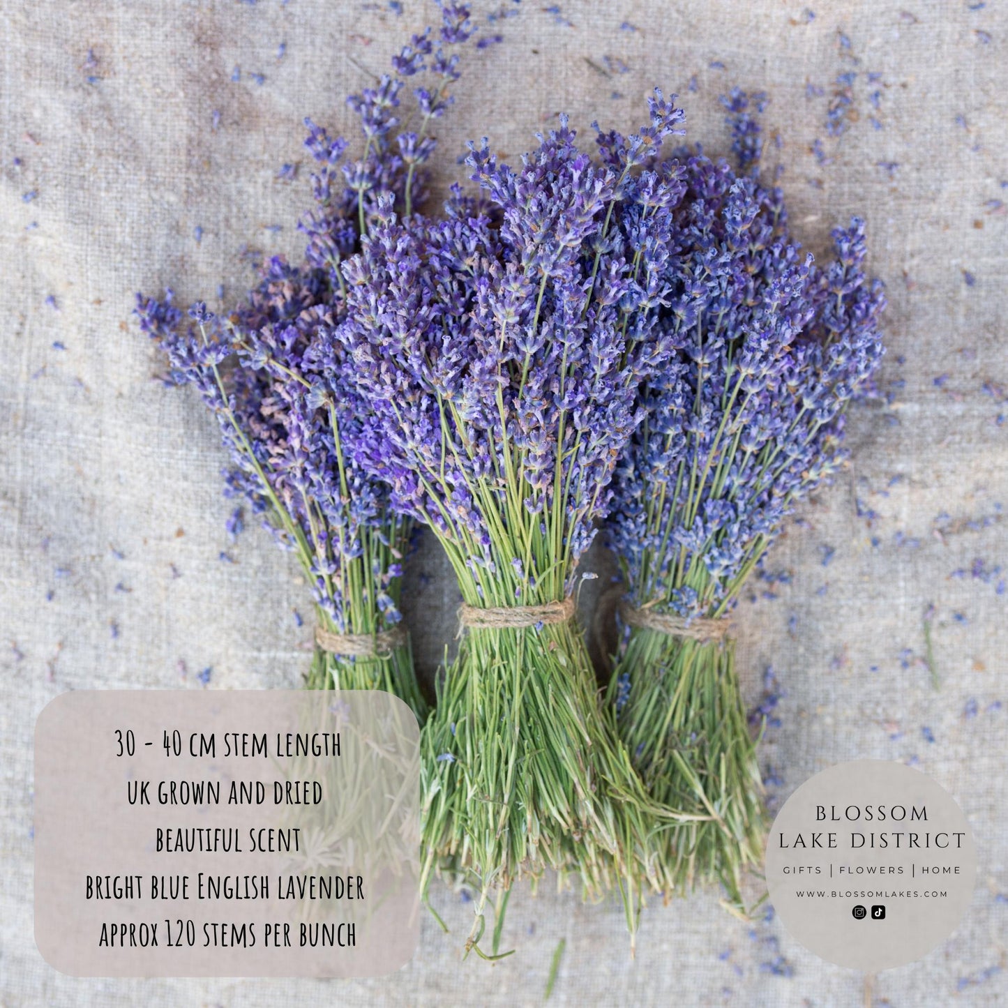 Quality British Dried Lavender Bunch