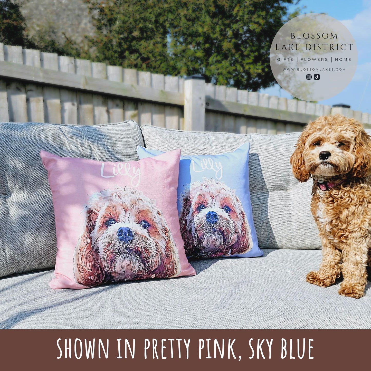 Custom Pet Pillow Using Pet Photo & Name