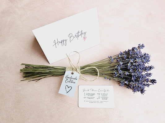 Letterbox Flowers & Card